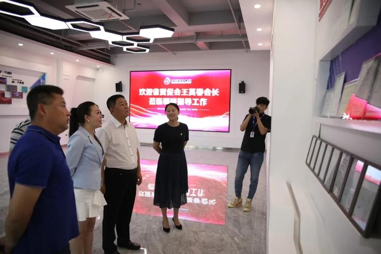 龙采科技集团