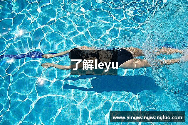 了解leyu